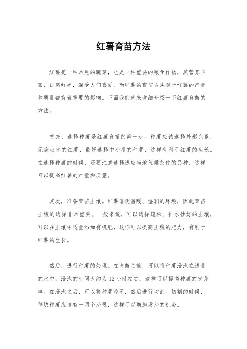 红薯育苗方法