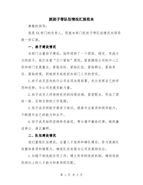 抓班子带队伍情况汇报范本