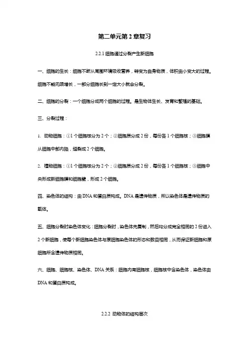 人教版七年级生物上册第二单元第2章细胞怎样构成生物体知识点总结