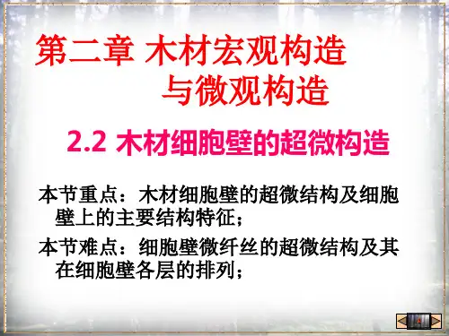 第二章木材宏观构造与微观构2