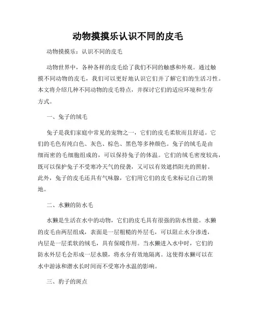 动物摸摸乐认识不同的皮毛