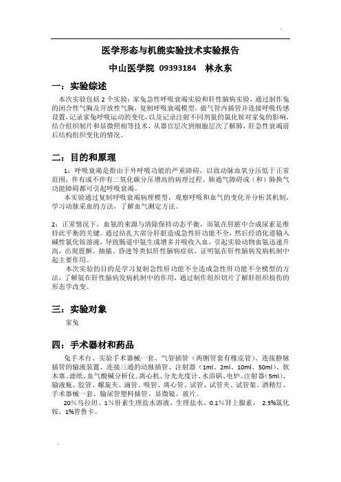 生理实验家兔呼吸衰竭和肝性脑病实验报告