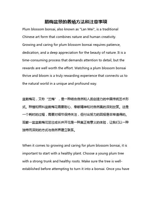 腊梅盆景的养殖方法和注意事项