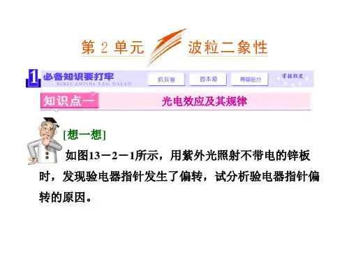 《三维设计》2014新课标高考物理一轮总复习课件  第十三章 动量第2单元 波粒二象性(49张ppt)