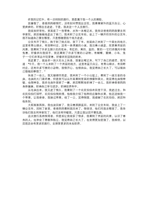 我一个人的旅行故事