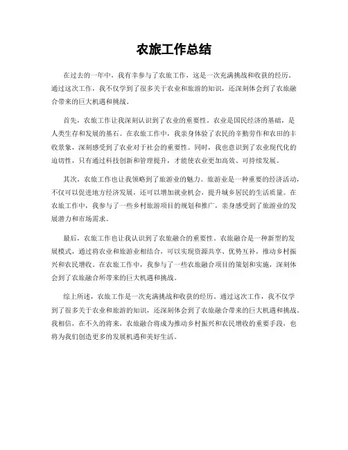 农旅工作总结