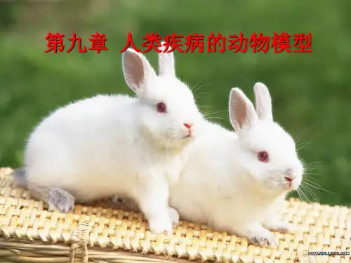 第九章  人类疾病的动物模型