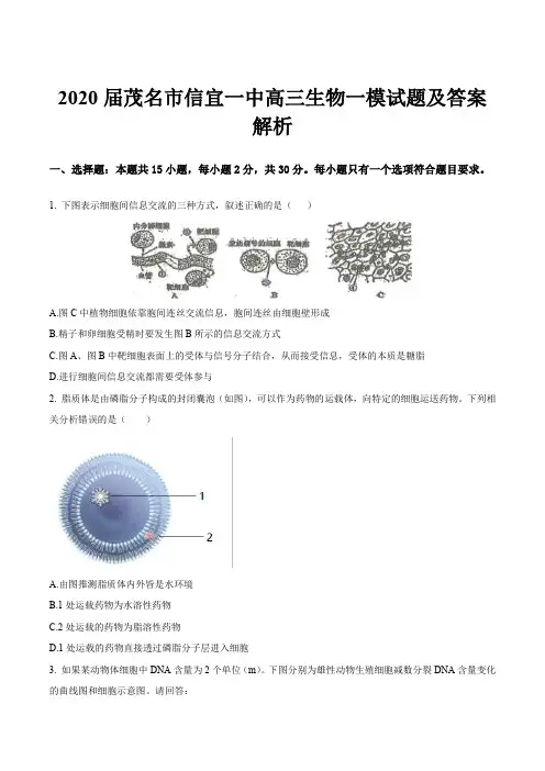 2020届茂名市信宜一中高三生物一模试题及答案解析
