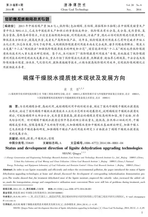 褐煤干燥脱水提质技术现状及发展方向-尚庆雨