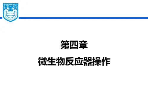 Chapter 4 微生物反应器操作