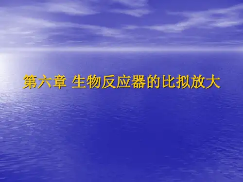 第六章_生物反应器的比拟放大