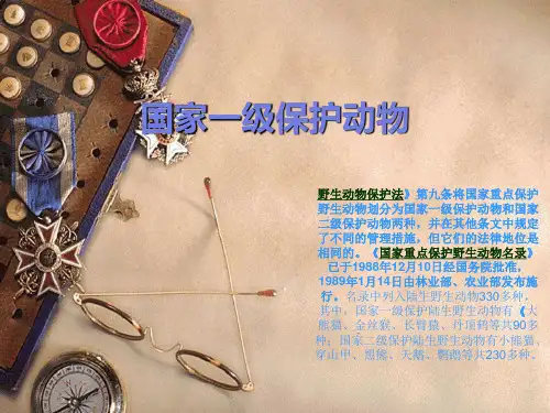 国家一级保护动物.