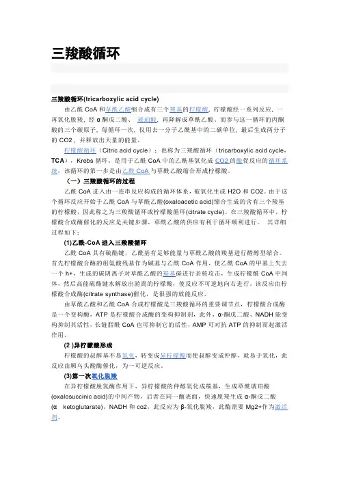 三羧酸循环
