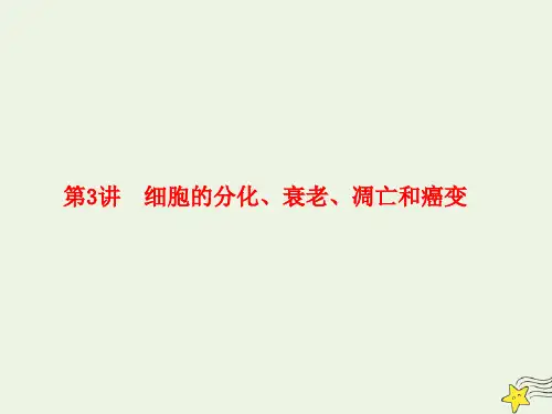 2020年高考生物总复习第四单元细胞的生命历程第3讲细胞的分化、衰老、凋亡和癌变课件新人教版