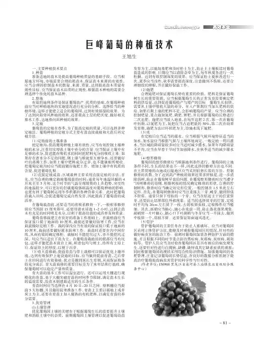 巨峰葡萄的种植技术