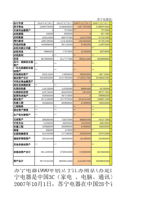 苏宁电器年报数据,财务分析课件用信息