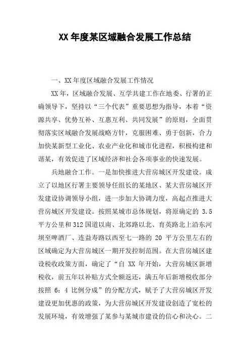 XX年度某区域融合发展工作总结