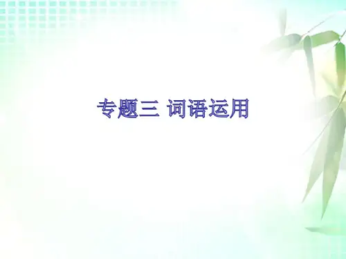 专题三词语运用-人教部编版七年级下册语文课件(共21张PPT)