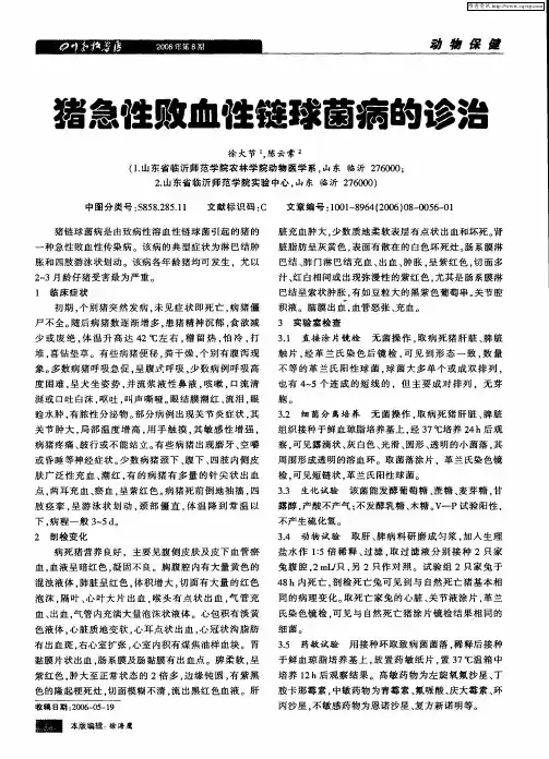 猪急性败血性链球菌病的诊治