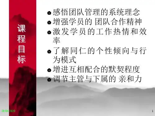 拓展训练室内案例55页PPT文档