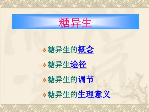 糖异生