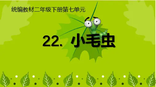 《小毛虫》ppt公开课(共17张ppt)