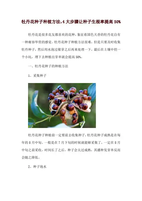 牡丹花种子种植方法,4大步骤让种子生根率提高50%