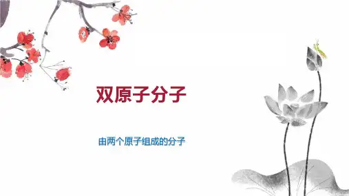双原子分子 