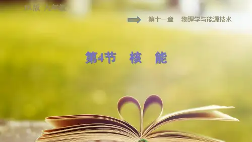 教科版物理九年级下册第十一章《物理学与能源技术》11.4核 能