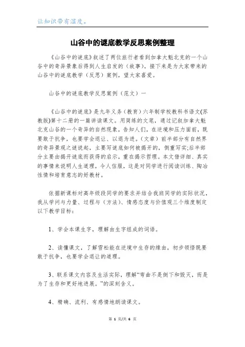 山谷中的谜底教学反思案例整理