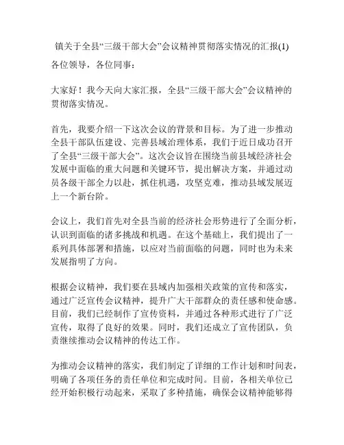 镇关于全县“三级干部大会”会议精神贯彻落实情况的汇报(1)