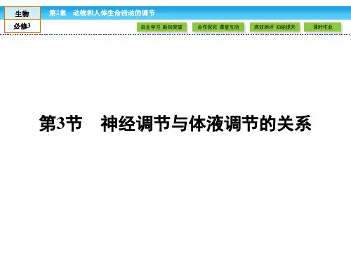人教版高中生物必修三 课件2.3：神经调节与体液调节的关系(共51张PPT)