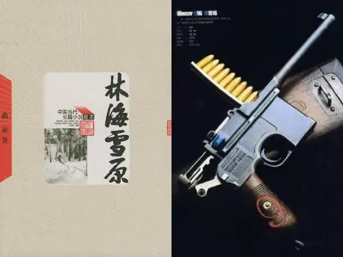 语文S版五年级上册杨子荣借题发挥