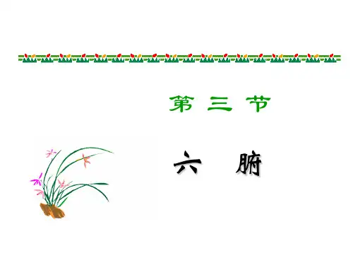 六腑奇恒之腑脏腑之间关系.ppt