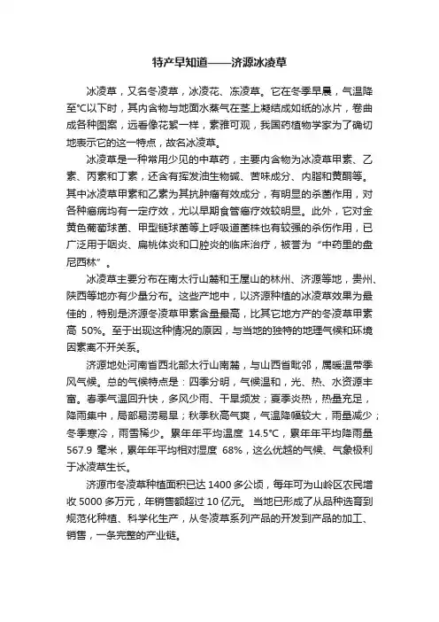 特产早知道——济源冰凌草