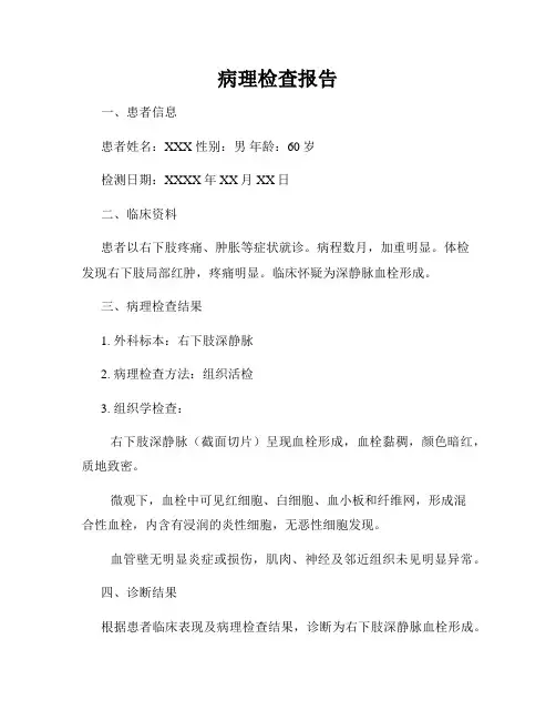 病理检查报告