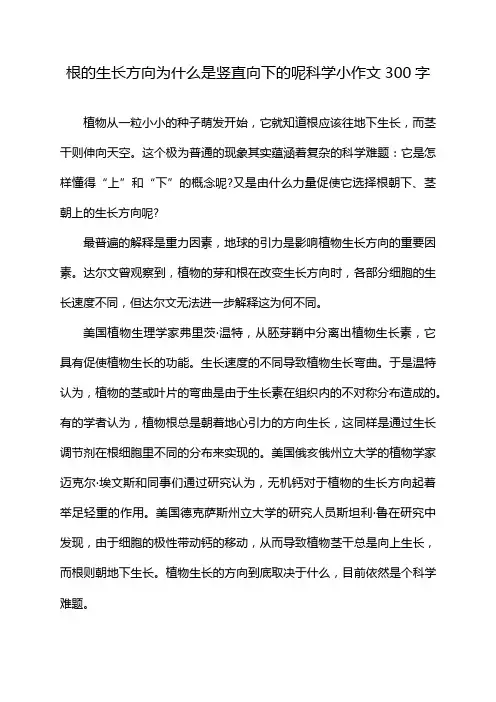 根的生长方向为什么是竖直向下的呢科学小作文300字