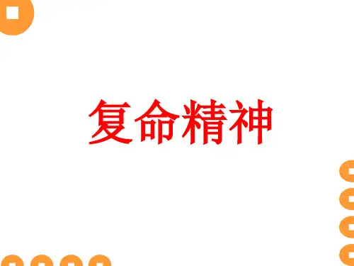 复命精神
