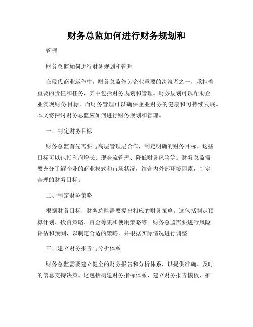 财务总监如何进行财务规划和