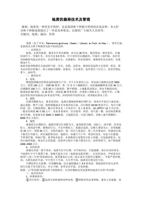 地黄的栽培技术及管理