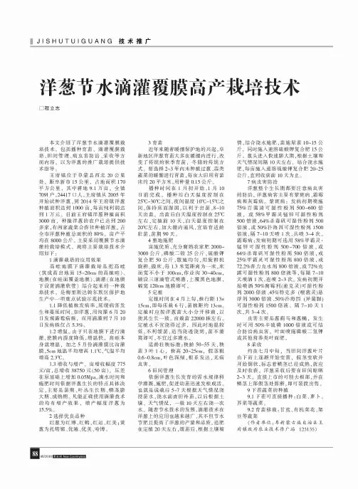 洋葱节水滴灌覆膜高产栽培技术