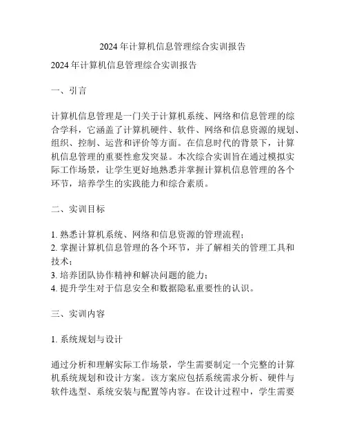 2024年计算机信息管理综合实训报告