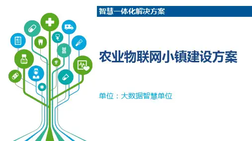 农业物联网小镇建设方案