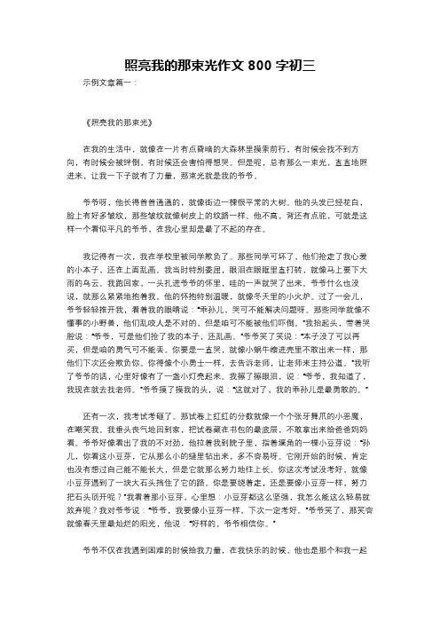 照亮我的那束光作文800字初三