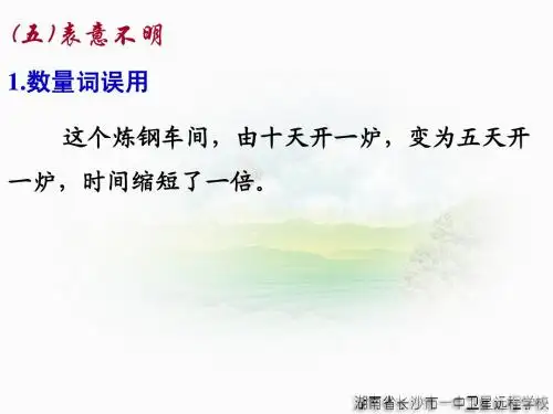 病句5 表意不明