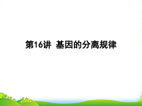 高中生物一轮复习 第16讲 基因的分离规律课件