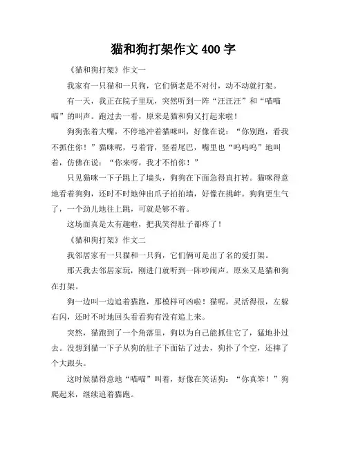 猫和狗打架作文400字