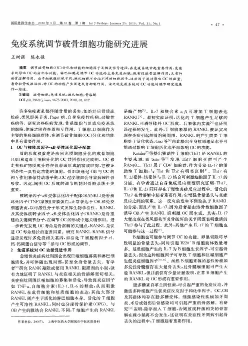 免疫系统调节破骨细胞功能研究进展