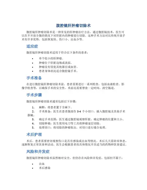 腹腔镜肝肿瘤切除术