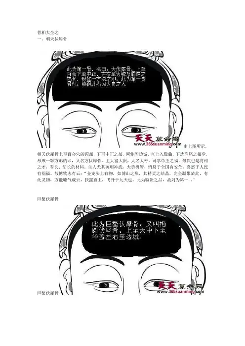 骨相1111111大全